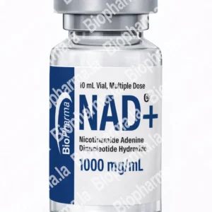 NAD+1000mg